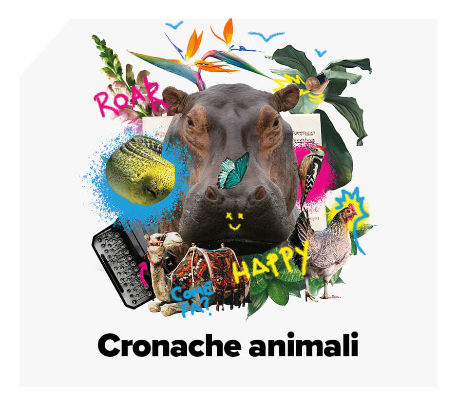 CRONACHE ANIMALI
