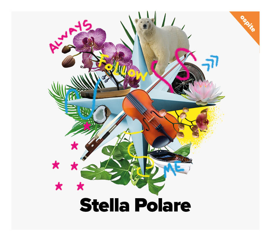 STELLA POLARE